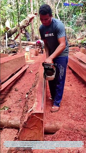 Aserrado de madera: trabajar la madera con precisión
