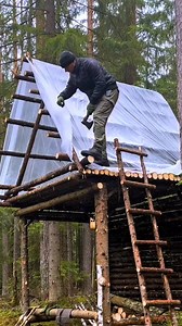 Hiding from bad weather and animals in a warm Hut #diy #bushcraft #shelter | Mountain Cabins