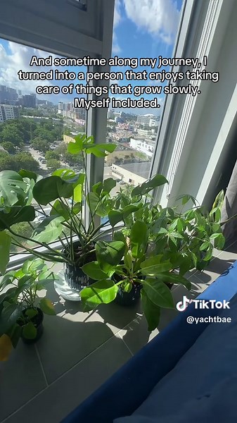 Creative Shelf Ideas for Plant Lovers