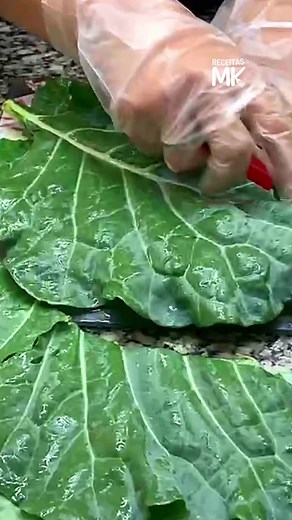 Como Cortar Couve Verde No Processador de Alimentos #couve #processadordealimentos #tutorialculinario #vaiprofycaramba