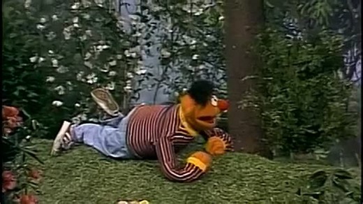 Sesame Street 2630 Season 21 American Archive of Public Broadcasting - Tom Haddad (360p, h264)