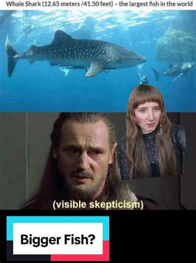 Marine Biology: Bigger Fish Explained