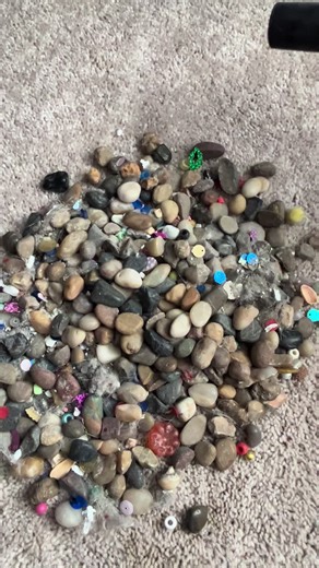 Enjoy ASMR Sounds of Vacuuming with Penguin Pebbles