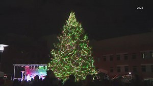 Roswell Park's Tree of Hope