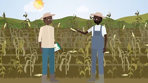 Agricultural technologies for decision-makers: TAAT Technology Database and e-catalogs The cornerstone of The African Development Bank’s “Feed Africa” campaign is the Technologies for African Agricultural Transformation (TAAT). TAAT is developing a database of agricultural technology and accompanying e-catalogs, showcasing technologies validated to ensure their scalability and benefits. The database and e-catalogs will connect potential agricultural technology adopters in the public and private 