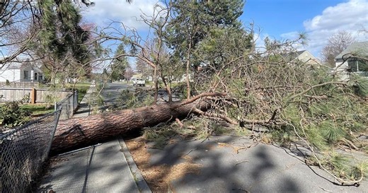 Expert tips on cleaning up storm damage aftermath