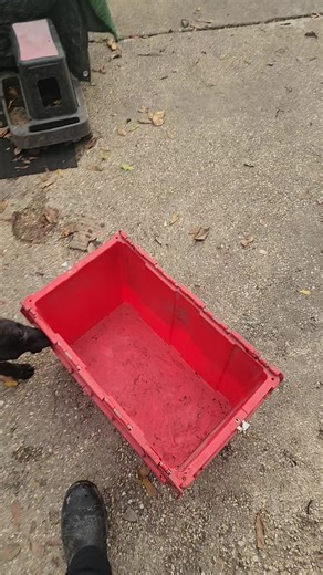 K9 Mims. K9 Pudding Pop showing off a lil bit. #dogtraining #puppytraining #dutchshepherdpuppies #puppyimprinting