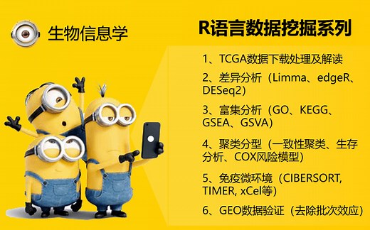 R语言数据挖掘系列合集，从数据下载到差异分析、富集分析、聚类分型、生存分析、免疫微环境、GEO数据验证等