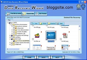 Easeus Data Recovery Wizard Serial Key 12.0.0