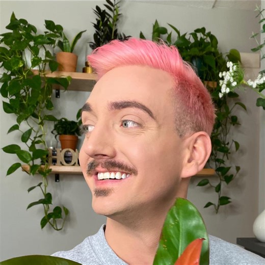 Once you’ve learned how to STOP OVERWATERING YOUR PLANTS, use these tips to get rid of your nasty lil fungus gnat problem. What’s your favorite method to stop gnats??? There’s a range of products you can use, and they’re all listed in my pest control list on my store front if you want to get them for yourself!! #houseplants #plants #brandonbotanical #houseplantclub #fungusgnats #gardening | Brandon Botanical