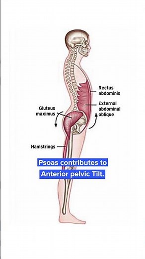 Stabilize your Lumbar Spine