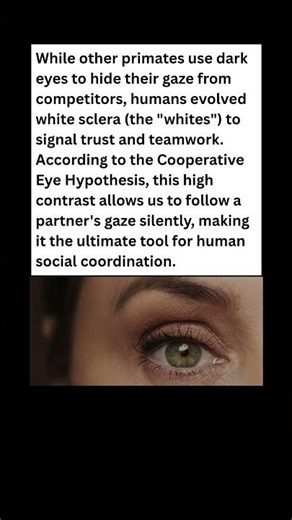 Why Are Human Eyes White? The Evolution of Trust 👁️✨ #wildlife #facts #shorts