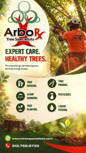 🌱 Professional Tree Care From Start To Finish
