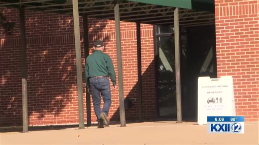 Grayson County voters explain why they voted in Tuesday’s election