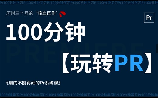 【PR教程速成版】100集全教程，零基础入门到精通！2025新手实用版，快速掌握Premier Pro必备技能！