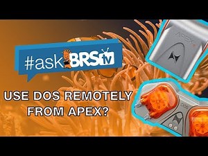 Can I use my Neptune DOS remotely from my Apex? | #AskBRStv