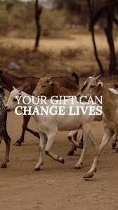 16 reactions · 3 comments | This holiday season, choose a gift that...