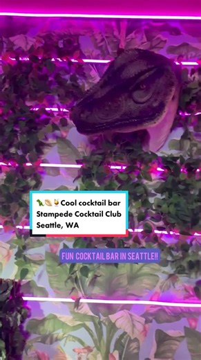 Discover Seattle’s Coolest Cocktail Bar!
