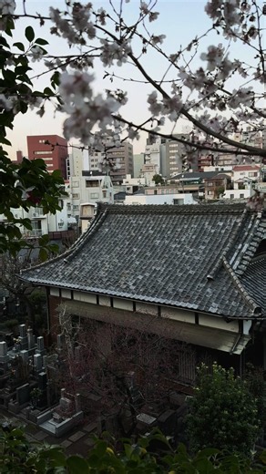 Japan vlog: Tokyo travel recommendations 2026
