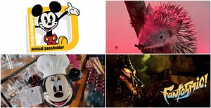 Disney News Round-Up: Fantastic Fantasmic News for Cast Members, Annual Passholders Suing Walt Disney World, Less Meet and Greets Ahead, Black Panther Wakanda Forever Food, and More Coming | Chip and Company