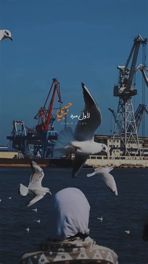 ‎Portsaid 🇪🇬 بورسعيد‎ | ‎"أنا كل ما بشوفك.. ✨🤍 🎥 @samir.films 🎶 @fairouz_rahbani . . . . . #portsaid #explore #fairouz #فيروز #foryou #اغاني_زمان #اغاني_قديمه...‎ | Instagram