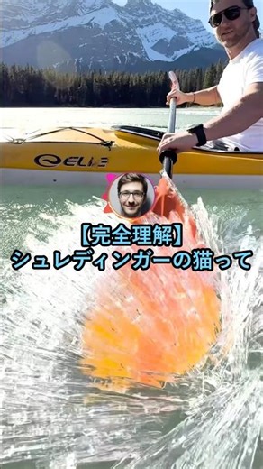 【完全理解】シュレディンガーの猫ってつまり...【2ch面白いスレ】