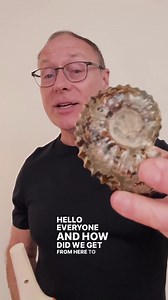 ✨ Calling All Franklin Method® Educators & Trainers! ✨ Ready to elevate your teaching? Join the *Evolution of Movement* CE course and deepen your mastery of the body-mind connection. 🌟 LIVE CLASS IS THIS SUNDAY! Licensed educators and trainers receive an exclusive 20% discount on this transformative learning experience! 🧠✨ 💡 What you’ll gain: 🔹 Inspiring new tools to empower your students 🔹 Techniques to elevate your teaching practice 📲 Learn more & register now: https://franklinmethod.com