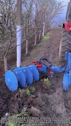 과수원 나무 사이 정밀 경운: 인터필라레 디스크 쟁기 가이드 #worker #process #farming #machinery #agriculture