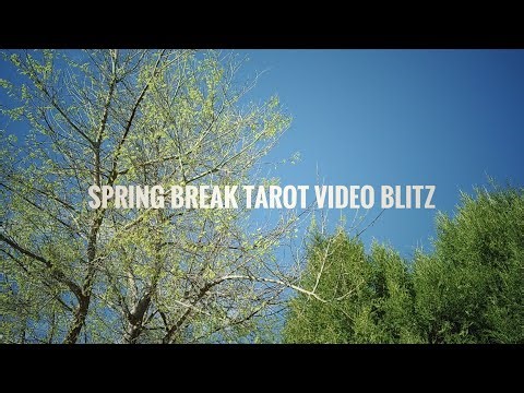 Spring Break - A Week With a Bunch Videos - a Loose Spring Break Theme for Fun & Distraction