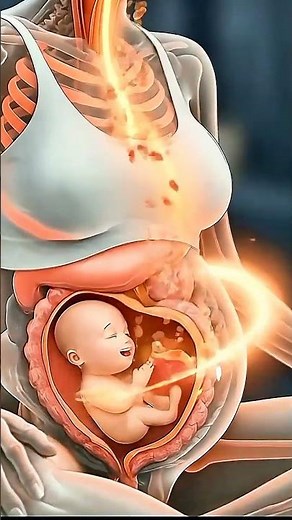 Peaches in Pregnancy: Safe Benefits & Digestion