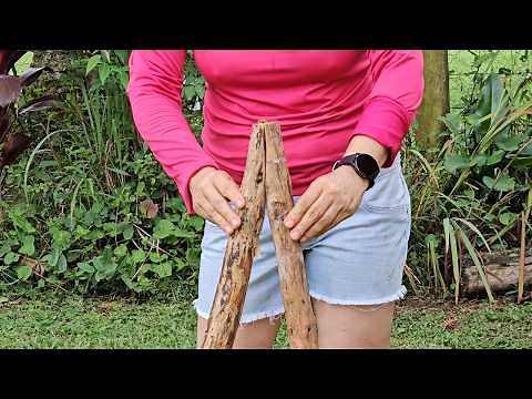 3 Rustic DIY Log Projects - Natural and Sustainable Decor 🌿🪓