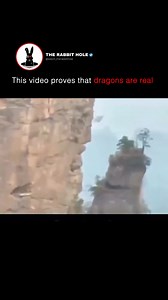 62K views · 753 reactions | This video proves that dragons are real | The Rabbit Hole | Facebook