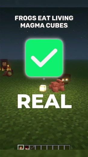 Are These Minecraft Myths True or False?