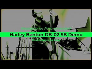Harley Benton DB-02 SB Demo - Double Bass Live Looping