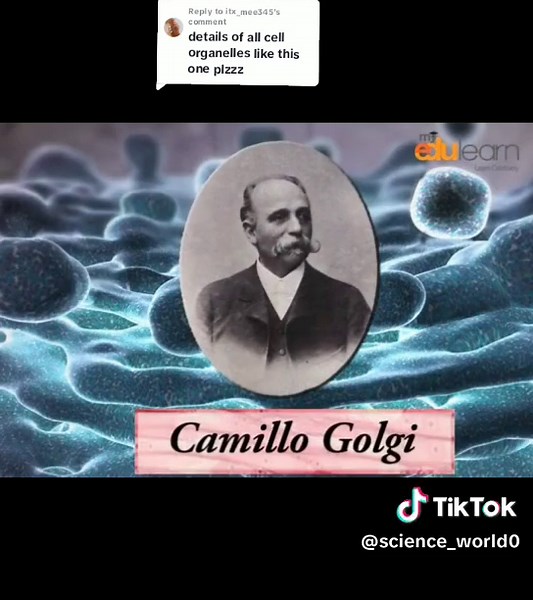 Science animations on TikTok