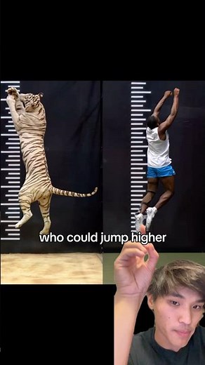 The worlds highest jumper was in a MrBeast video