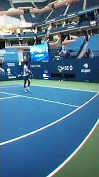 Novak Djokovic defaults USOpen 2020 (actual moment)