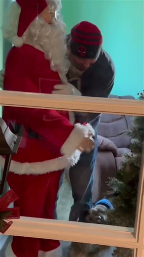 Pug Scared of Moveable Santa! #santa #pug #christmas