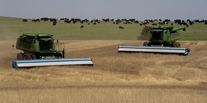 Fertilizer Stocks Are Coming Back to Earth, Dragged Down by Falling Crop Prices