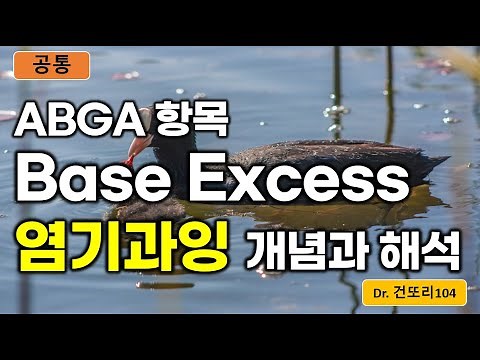 [ABGA 관련] Base Excess(염기과잉), Buffer Base(완충염기)의 개념과 해석