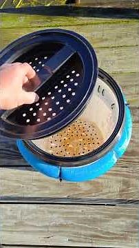 DIY Floating Live Bait or Chum Bucket
