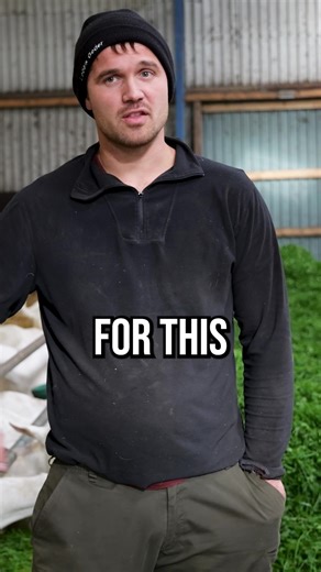 2.6K views · 33 reactions | How zero grazing works on an organic goat farm!  #goatscheese #goatsmilk #zerograzing #grasstomilk #farming #grasstechnology #creatingnewstandards | Grass Technology | Facebook