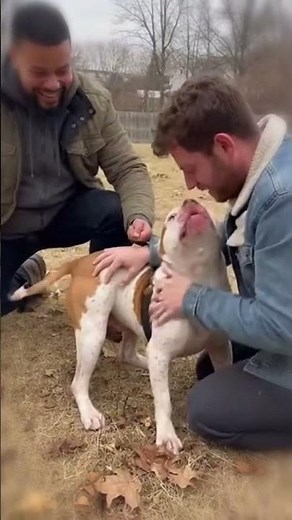 He Was Just 3 Months Old When They Were Separated 💖