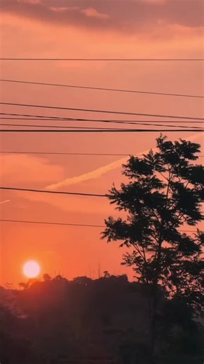 #creatorsearchinsights #fpyシ❥tiktok🖤🌹