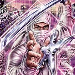 The Gratuitous B-Movie Column: New York Ninja | 411MANIA | Wrestling News, WWE & AEW Results