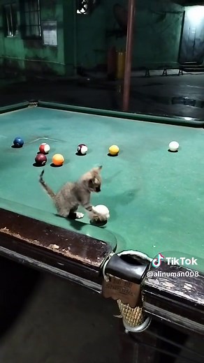 snooker player######foryou like video #####fouryou