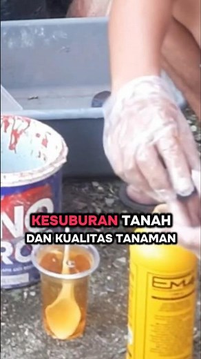 Benefits of EM4 for Soil and Plants #penagarden #plantingmedia #em4