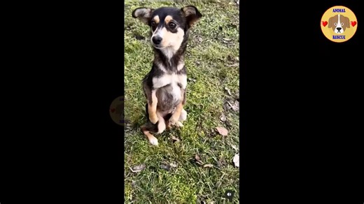 H1102031_She Bewilderedly Seeks Help After Days of