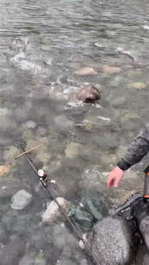 Rocket ship! #alaska #fishing #salmonfishing #flyfishing #travel