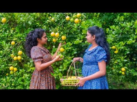Garden to Table 🍋 | Homemade Lime Pickle & Peaceful Village Gardening